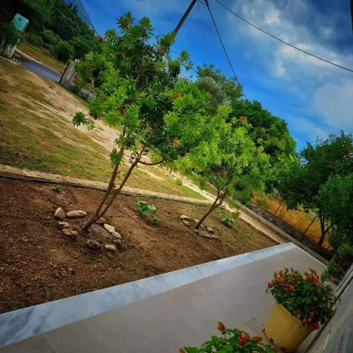 Calma Studios Parga Luaran gambar